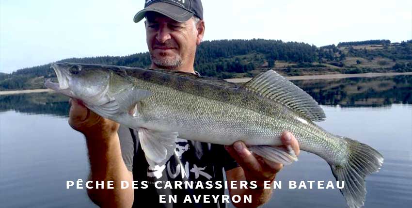 Pêche Aveyron carnassier